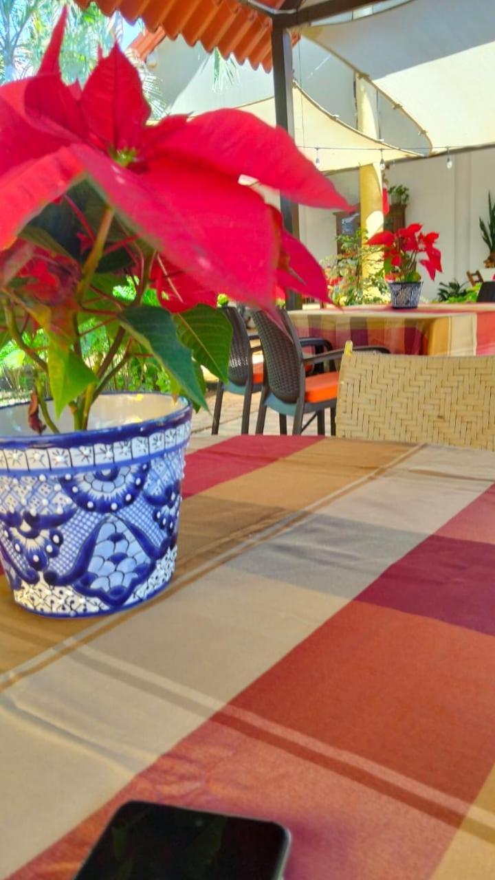 Bed and Breakfast Quinta Rosita Ticul Zewnętrze zdjęcie