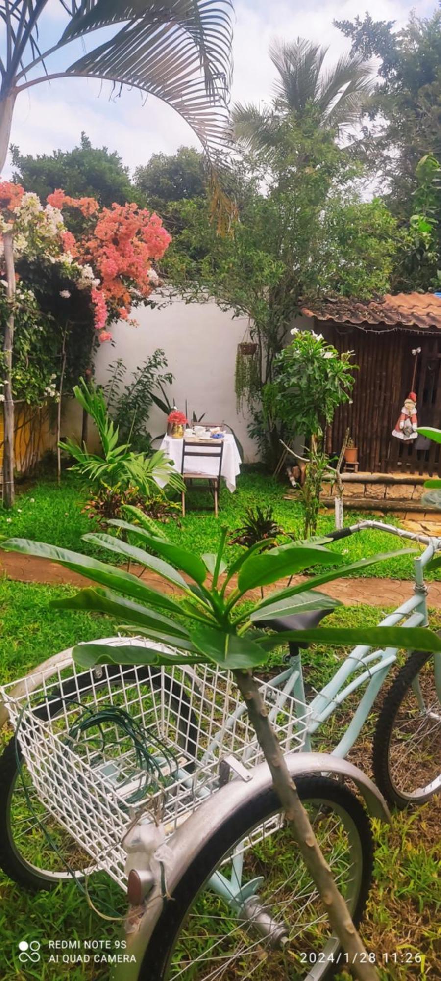 Bed and Breakfast Quinta Rosita Ticul Zewnętrze zdjęcie