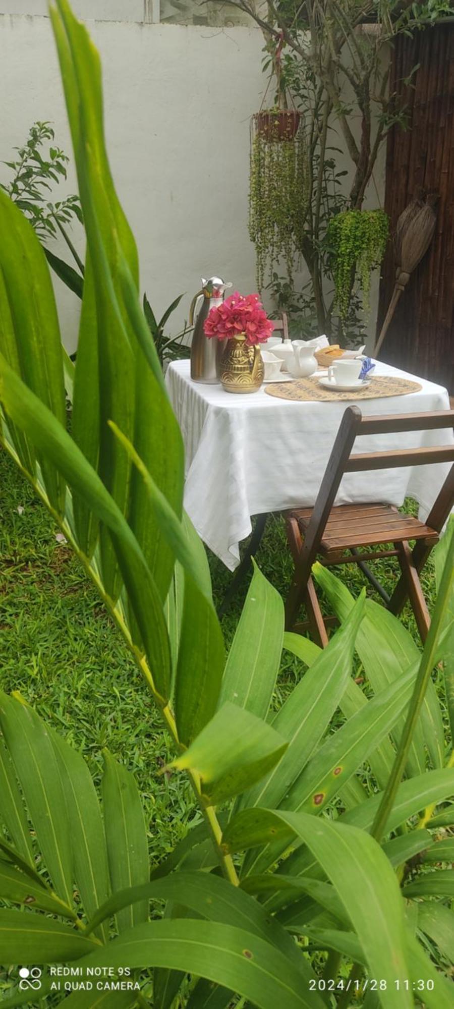 Bed and Breakfast Quinta Rosita Ticul Zewnętrze zdjęcie
