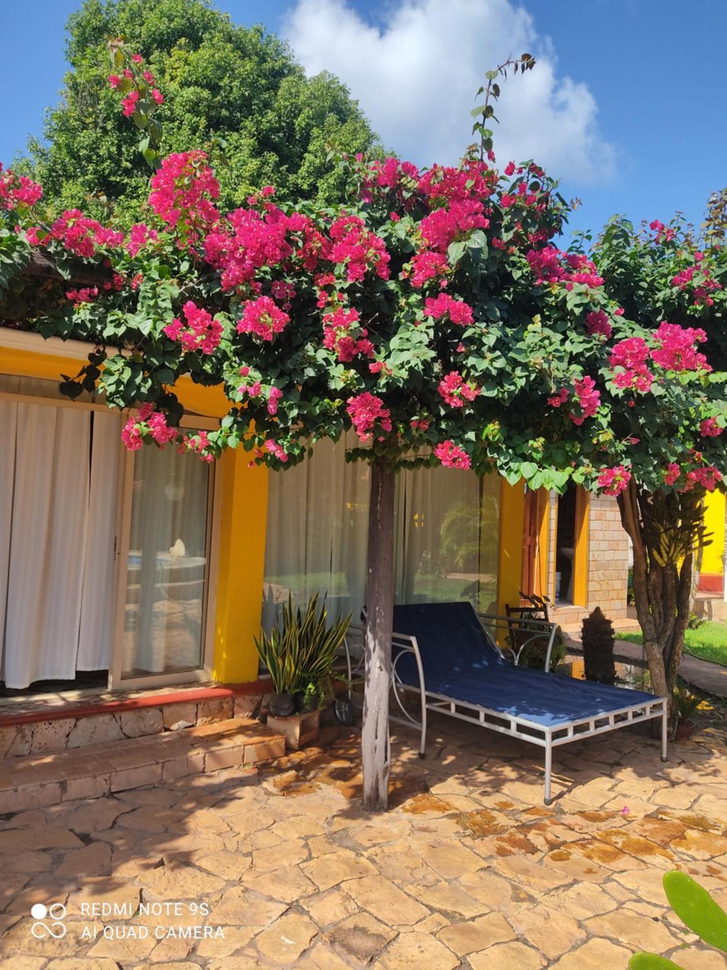 Bed and Breakfast Quinta Rosita Ticul Zewnętrze zdjęcie