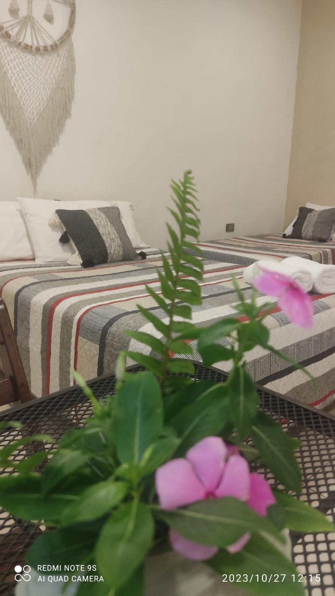 Bed and Breakfast Quinta Rosita Ticul Zewnętrze zdjęcie