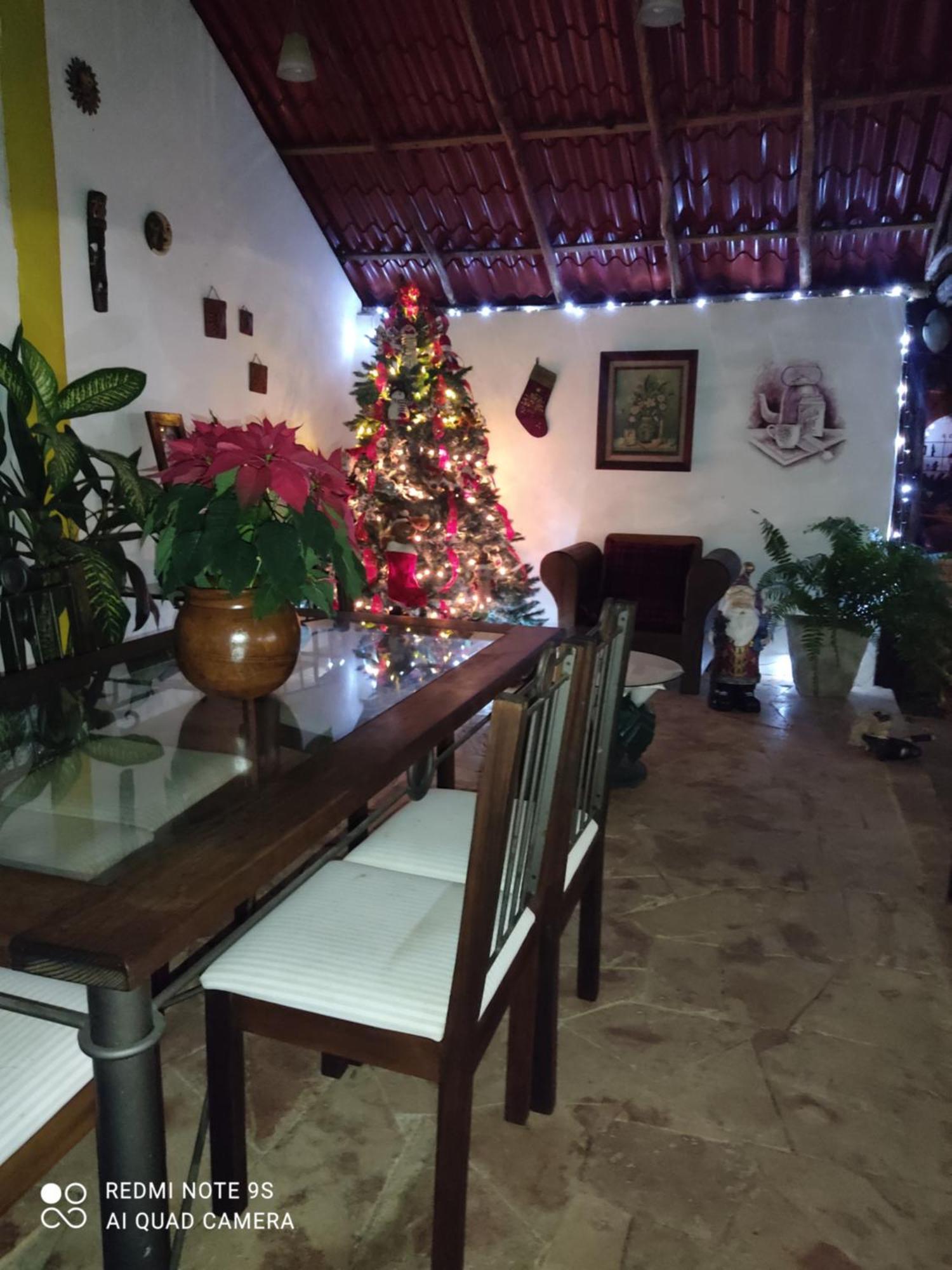 Bed and Breakfast Quinta Rosita Ticul Zewnętrze zdjęcie