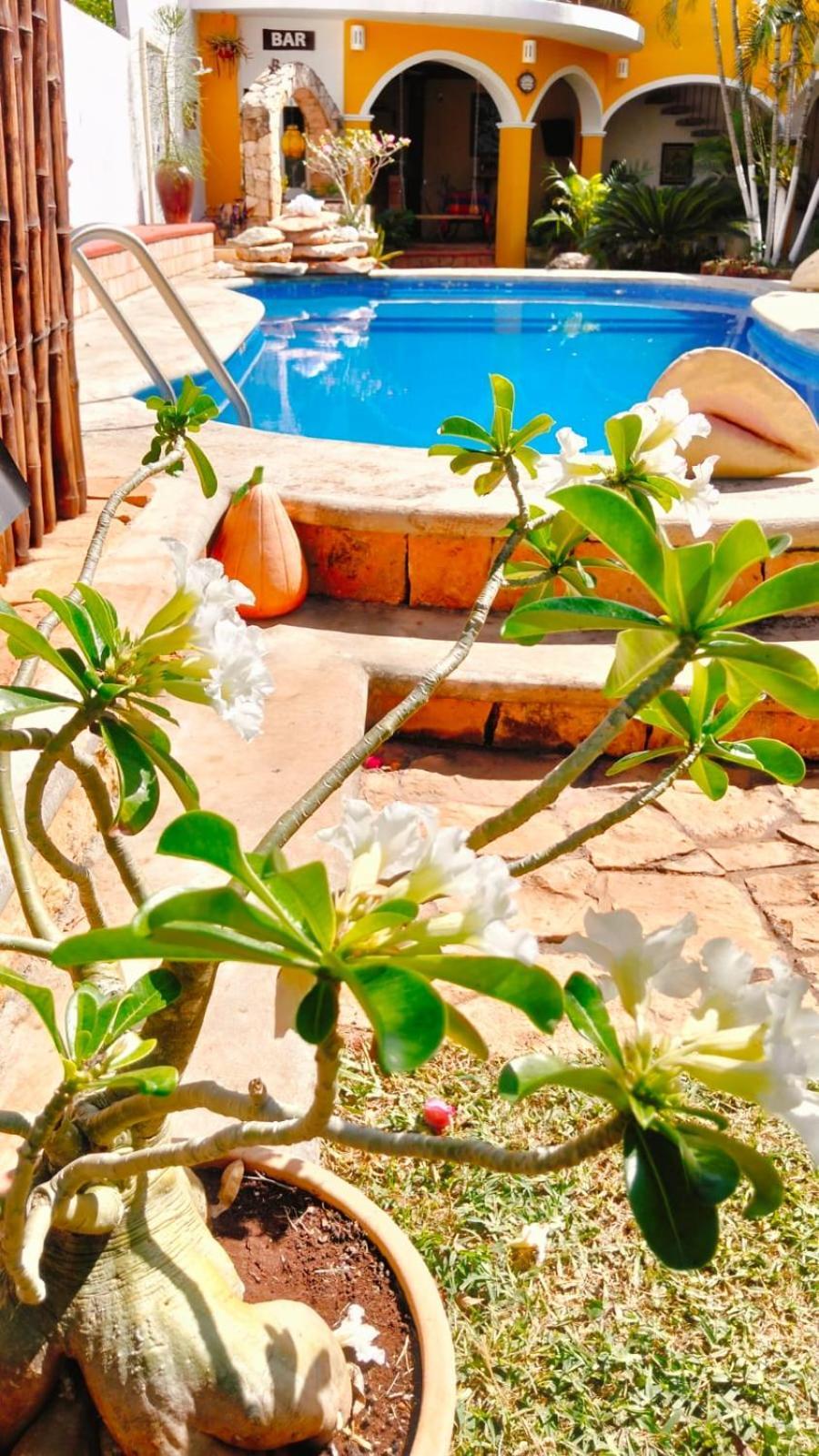 Bed and Breakfast Quinta Rosita Ticul Zewnętrze zdjęcie