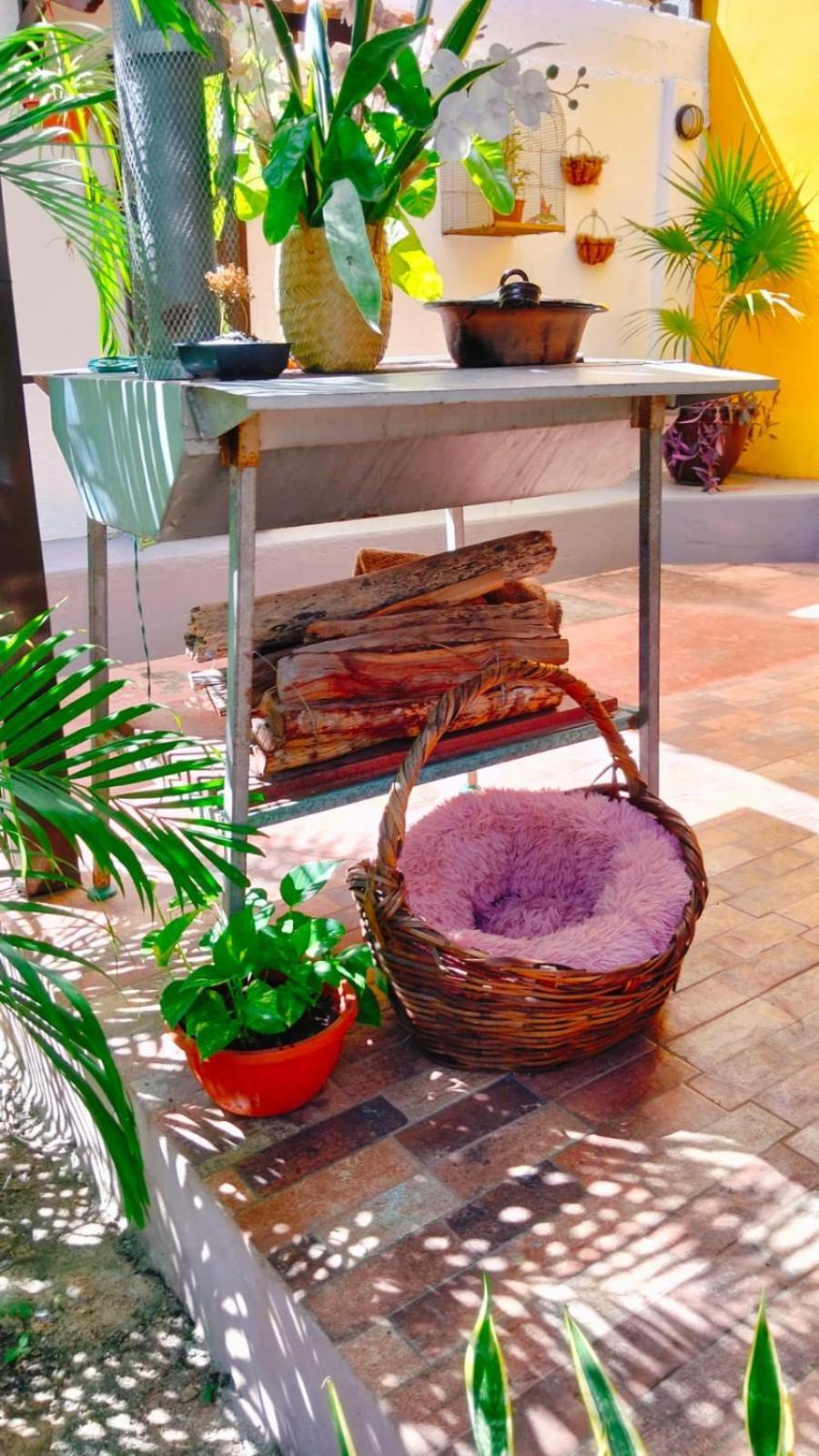Bed and Breakfast Quinta Rosita Ticul Zewnętrze zdjęcie