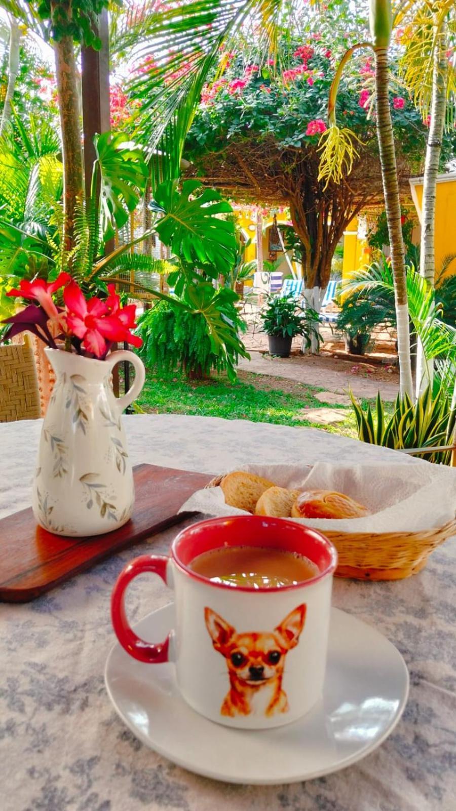 Bed and Breakfast Quinta Rosita Ticul Zewnętrze zdjęcie