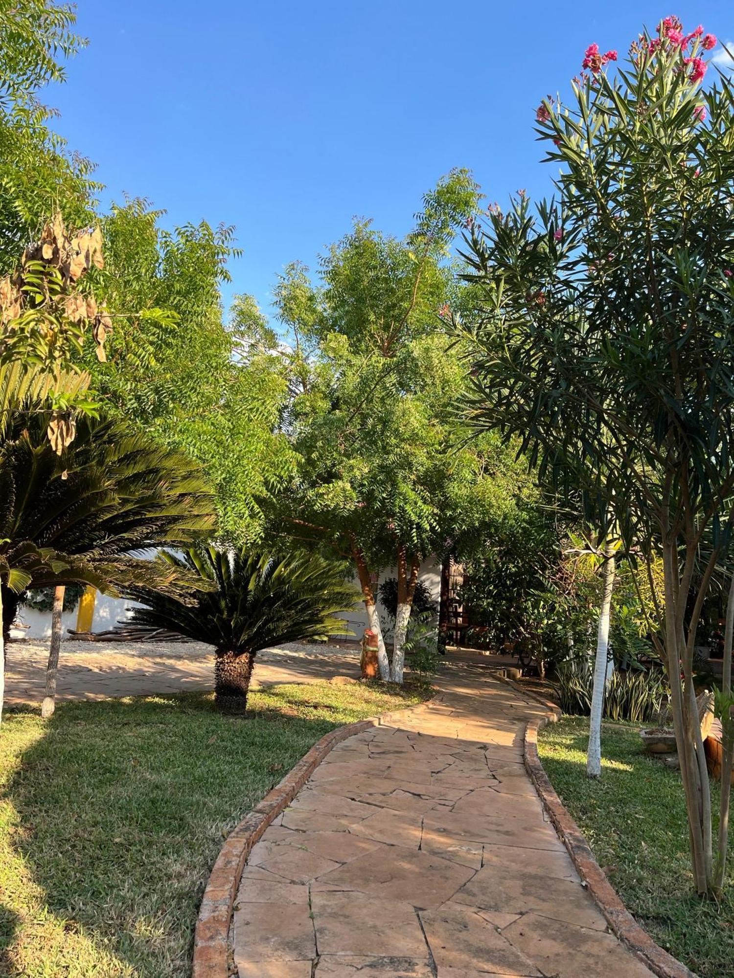Bed and Breakfast Quinta Rosita Ticul Zewnętrze zdjęcie